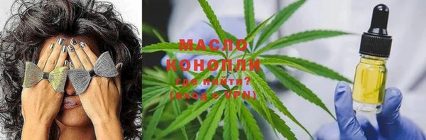 мдпв Богданович