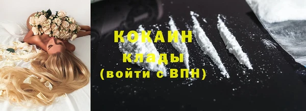 мдпв Богданович