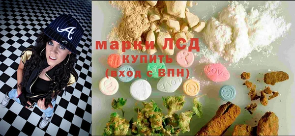 мдпв Богданович