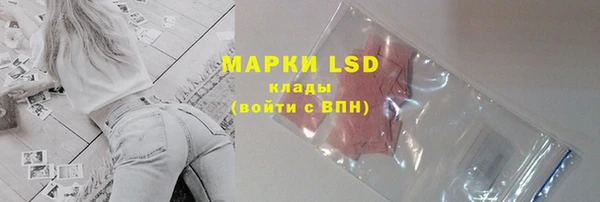 мдпв Богданович