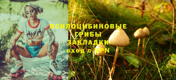 бошки Богородицк