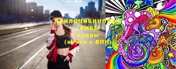 PSILOCYBIN Богородск