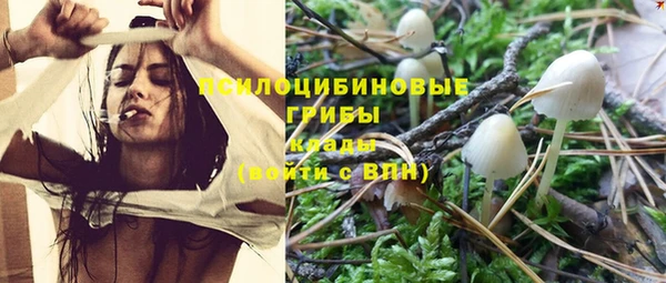 PSILOCYBIN Богородск