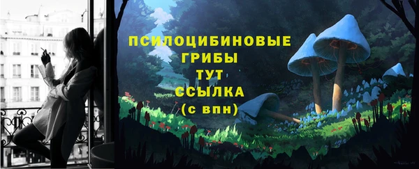 мдпв Богданович