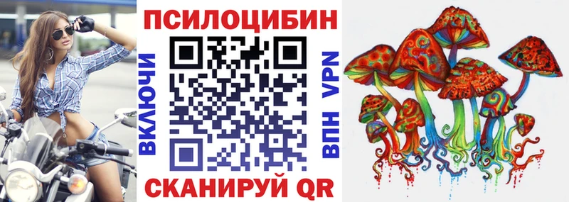 нарко площадка наркотические препараты  Иркутск  Галлюциногенные грибы Cubensis  купить наркотик 