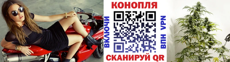 Бошки Шишки SATIVA & INDICA  Иркутск 